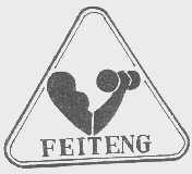 FEITENG