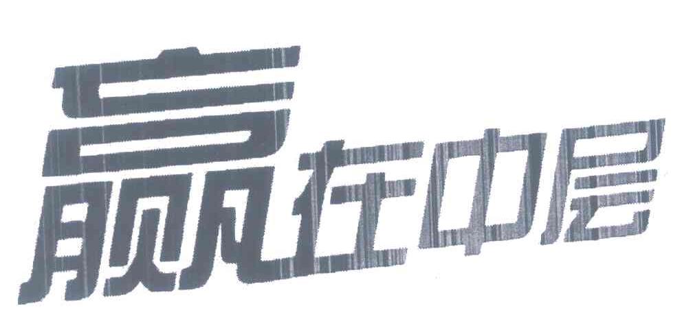 赢在中层