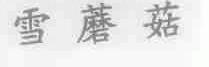 雪蘑菇