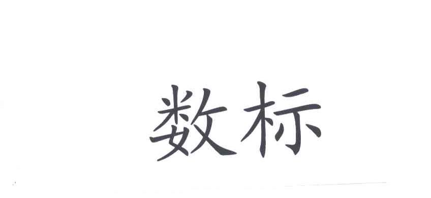 数标
