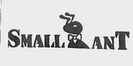 SMALL ANT