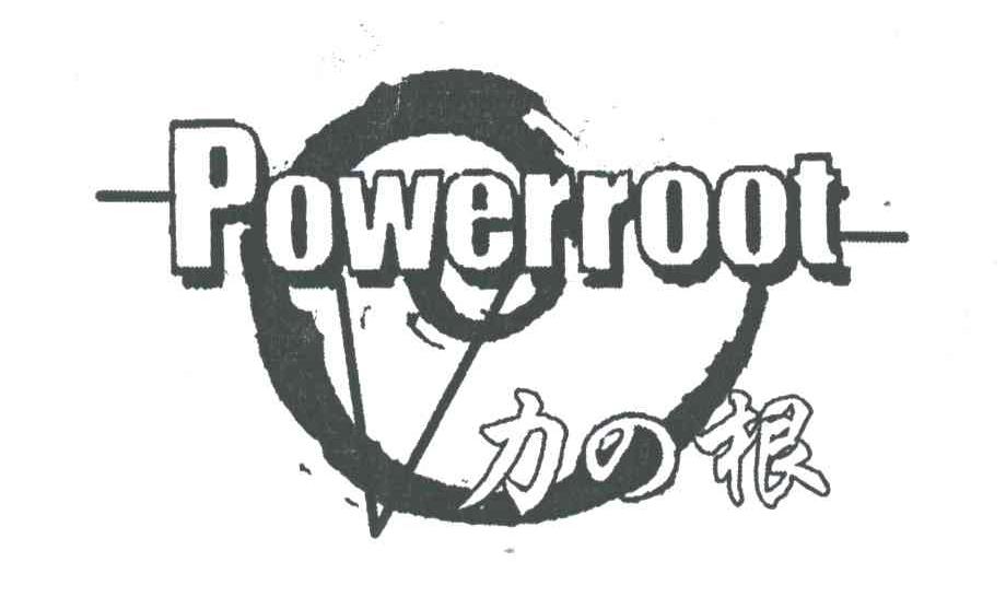 力根;POWERROOT