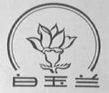 白玉兰