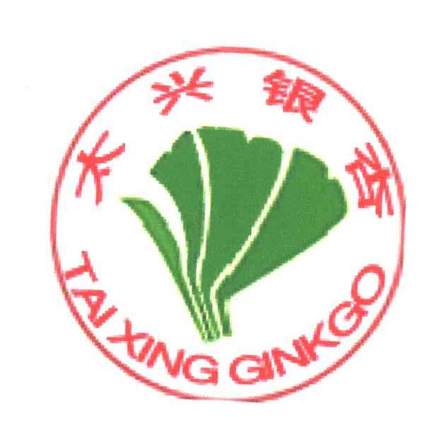 太兴银杏;GINKGO