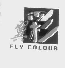 翼彩   FLY COLOUR