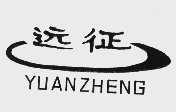 远征
