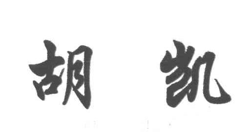 胡凯