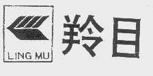 羚目