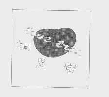 相思树   LOVE TREE