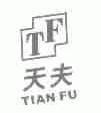 天夫