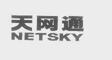 天网通   NETSKY