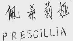 佩希莉娅   PRESCILLIA