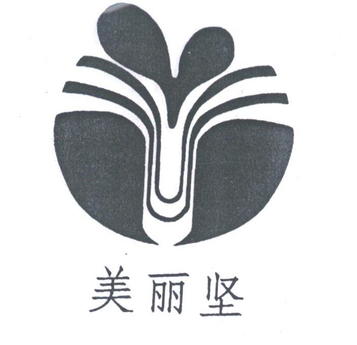 美丽坚