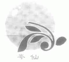 岑仙