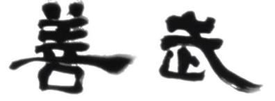 善武
