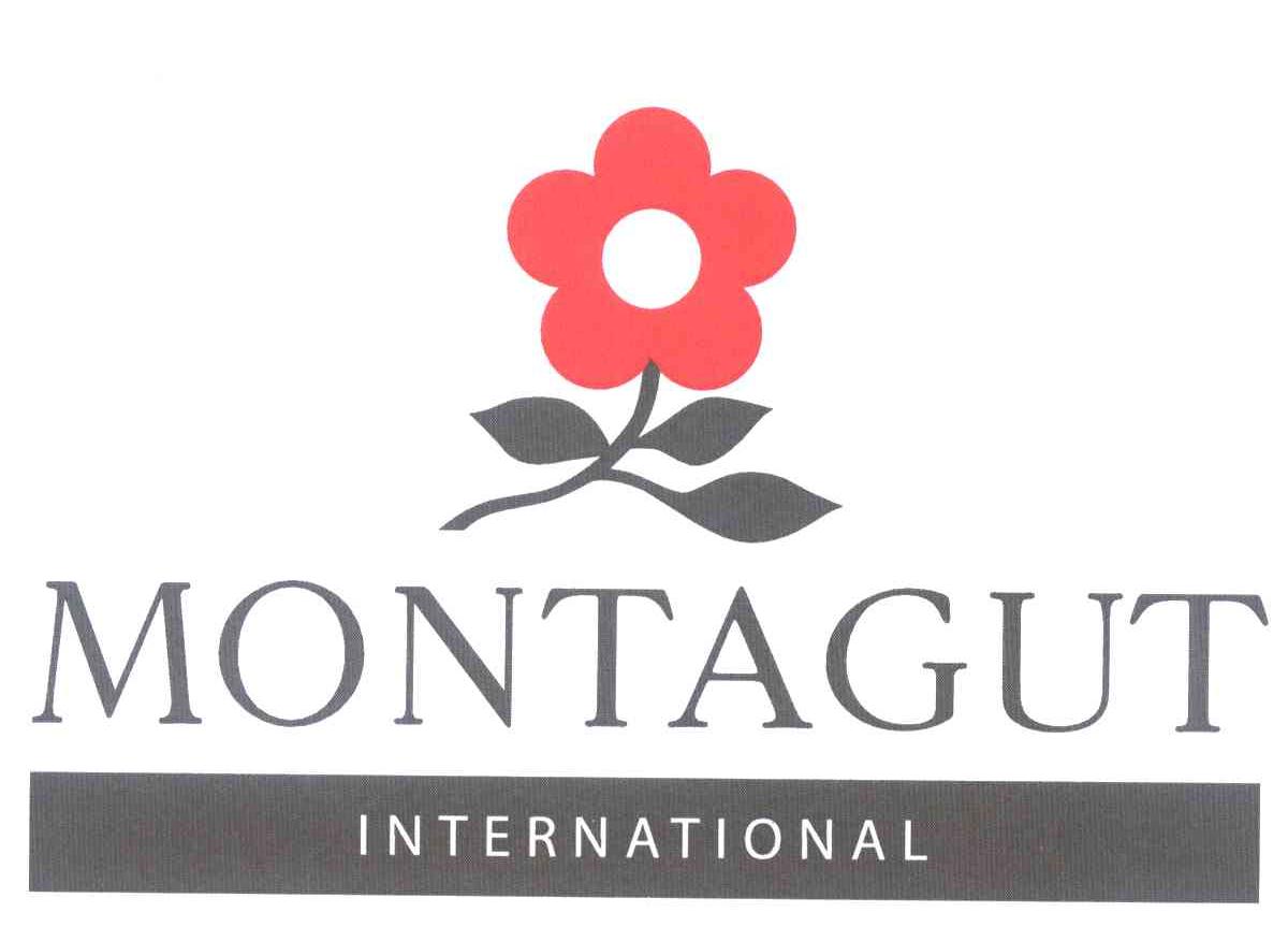 MONTAGUT INTERNATIONAL