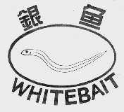 银鱼  WHITEBAIT
