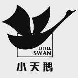 小天鹅  LITTLE SWAN