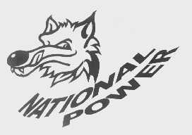NATIONAL POWER