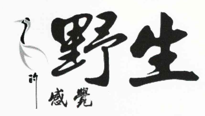 野生感觉