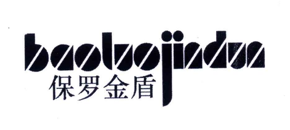 保罗金盾