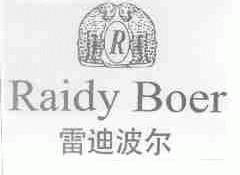 雷迪波尔;RAIDY BOER