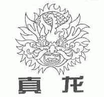 真龙