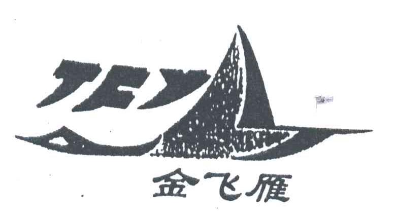 金飞雁;JFY
