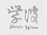 紫波  PURPLE WAVE
