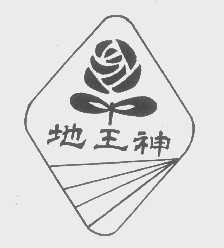 地王神