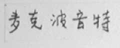 麦克波音特