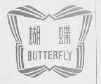 蝴蝶    BUTTERFLY