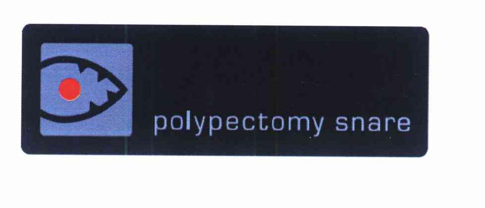POLYPECTOMY SNARE