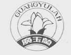 广玉兰