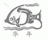 华年