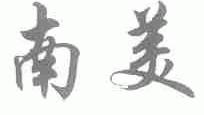 南美