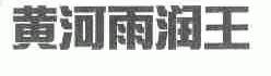 黄河雨润王