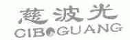 慈波光