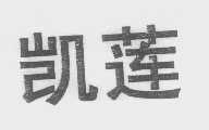 凯莲