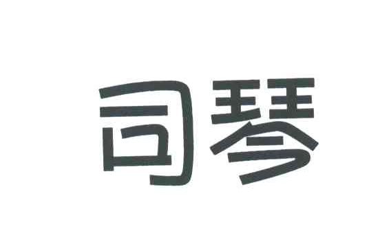 司琴