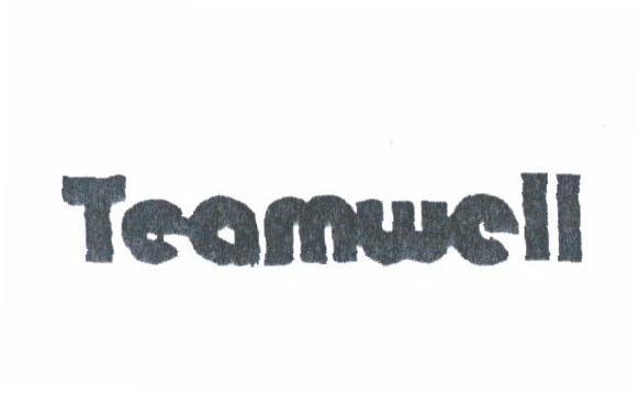 TEAMWELL