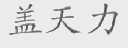盖天力