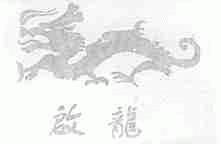 启龙
