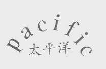 太平洋   PACIFIC