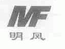 明凤