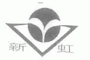 新虹