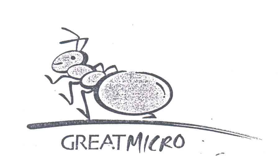 GREATMICRO