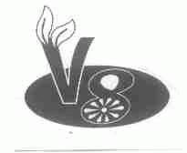 V;8