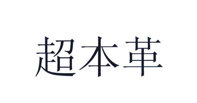 超本革