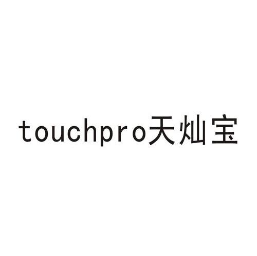 天灿宝 TOUCHPRO